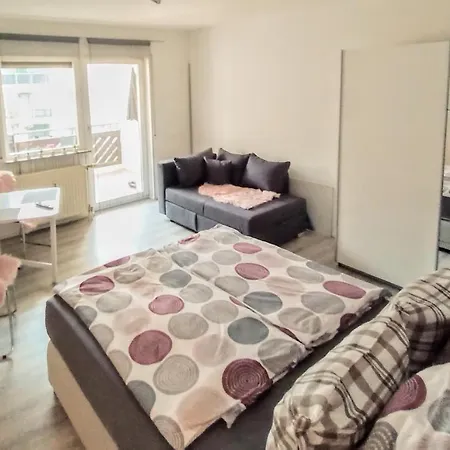 Bodensee Rotkehlchen 27 Friedrichshafen