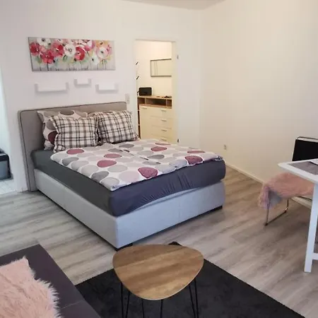 Bodensee Rotkehlchen 27 Friedrichshafen