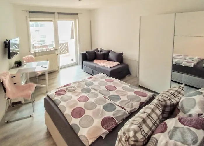 Bodensee Rotkehlchen 27 Friedrichshafen