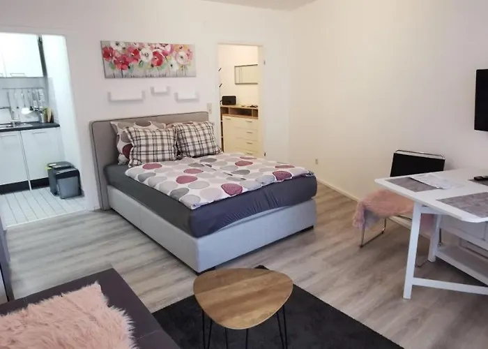 Bodensee Rotkehlchen 27 Friedrichshafen